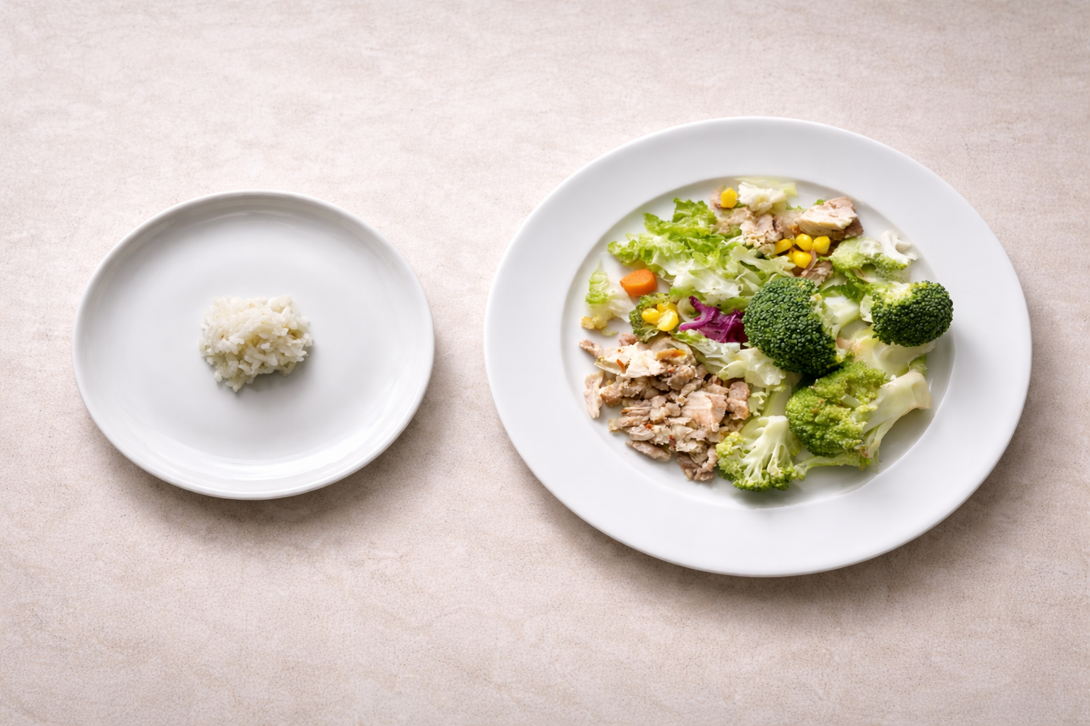 Portion control comparison showing small restrictive meal versus balanced plate depicting: weight loss mode vs maintenance mode.